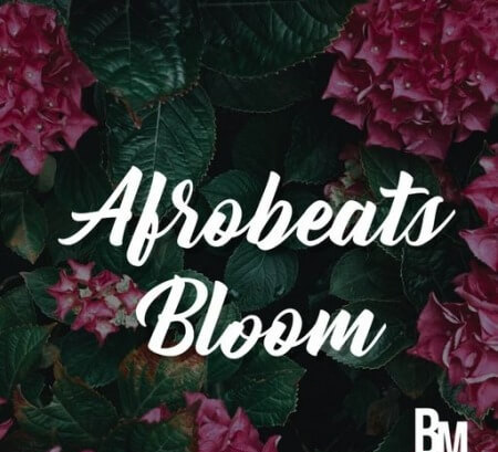 HOOKSHOW Afrobeats Bloom WAV